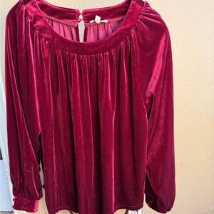 Umgee Velvet Burgundy Blouse